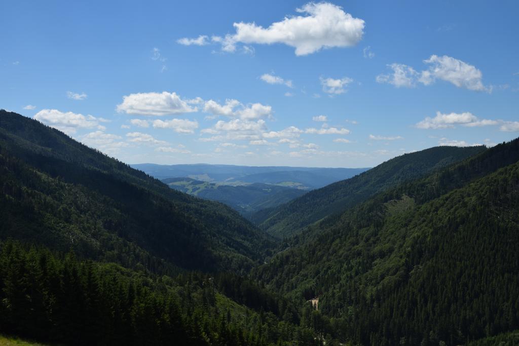 Apartmanovy Dom Romantika - Apartman 5 Tále Kültér fotó